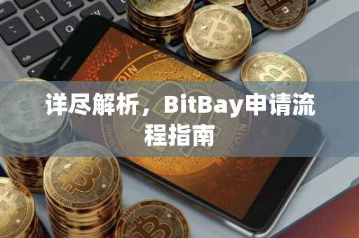 详尽解析，BitBay申请流程指南