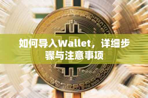 如何导入Wallet，详细步骤与注意事项