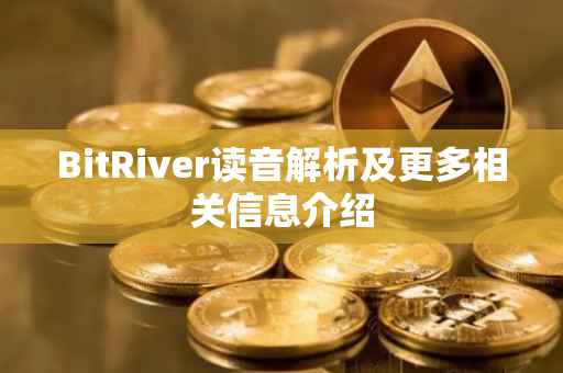 BitRiver读音解析及更多相关信息介绍