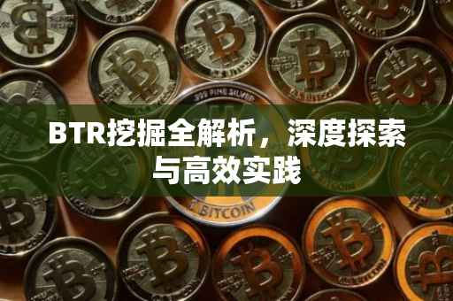 BTR挖掘全解析，深度探索与高效实践