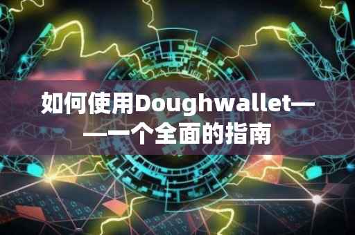 如何使用Doughwallet——一个全面的指南