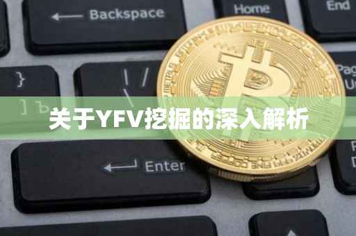 关于YFV挖掘的深入解析