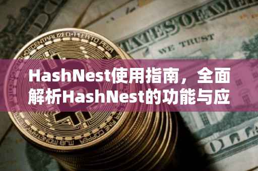 HashNest使用指南，全面解析HashNest的功能与应用