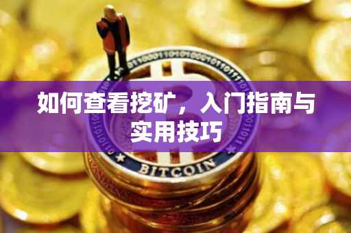 如何查看挖矿，入门指南与实用技巧