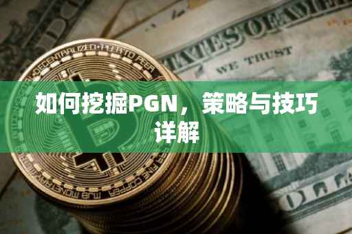 如何挖掘PGN，策略与技巧详解