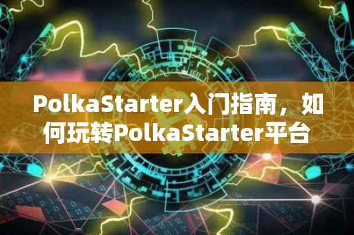 PolkaStarter入门指南，如何玩转PolkaStarter平台