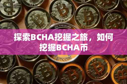 探索BCHA挖掘之旅，如何挖掘BCHA币