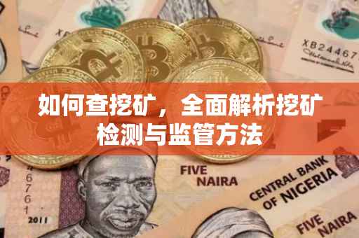 如何查挖矿，全面解析挖矿检测与监管方法