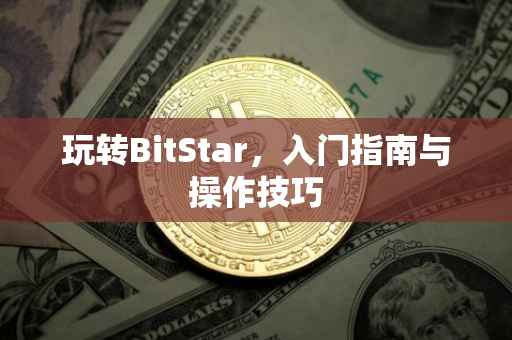 玩转BitStar，入门指南与操作技巧