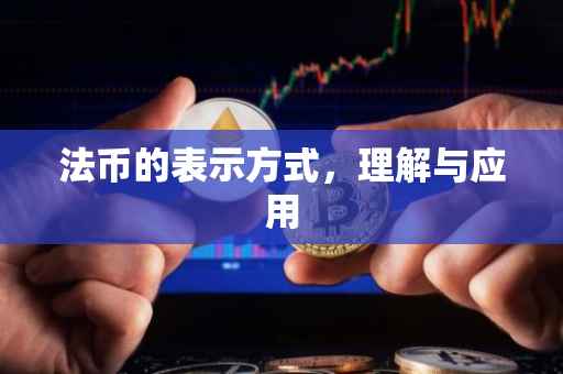 法币的表示方式，理解与应用