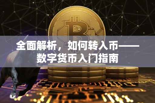 全面解析，如何转入币——数字货币入门指南