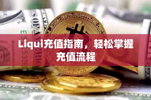 Liqui充值指南，轻松掌握充值流程