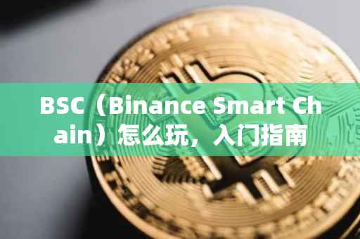 BSC（Binance Smart Chain）怎么玩，入门指南