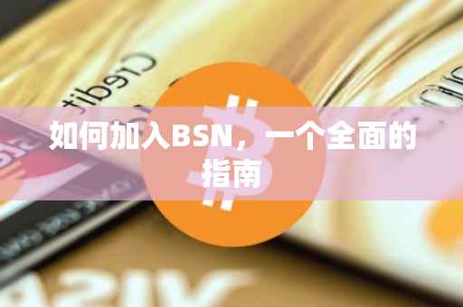 如何加入BSN，一个全面的指南