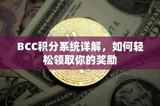 BCC积分系统详解，如何轻松领取你的奖励