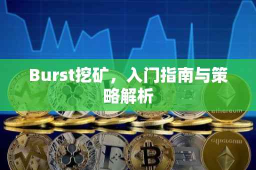 Burst挖矿，入门指南与策略解析