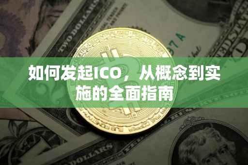 如何发起ICO，从概念到实施的全面指南