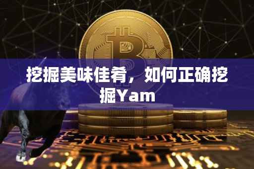 挖掘美味佳肴，如何正确挖掘Yam