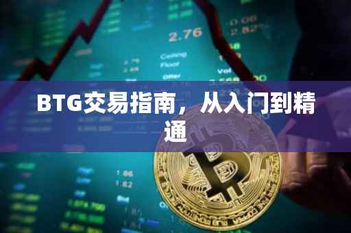BTG交易指南，从入门到精通