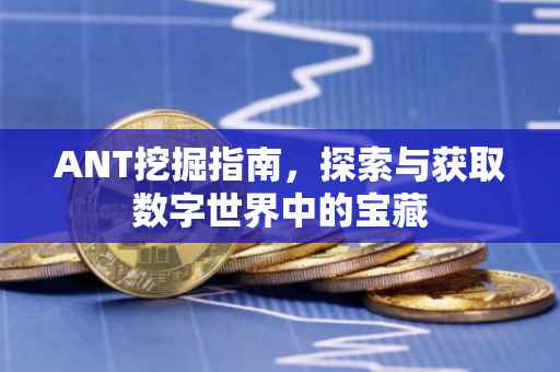 ANT挖掘指南，探索与获取数字世界中的宝藏