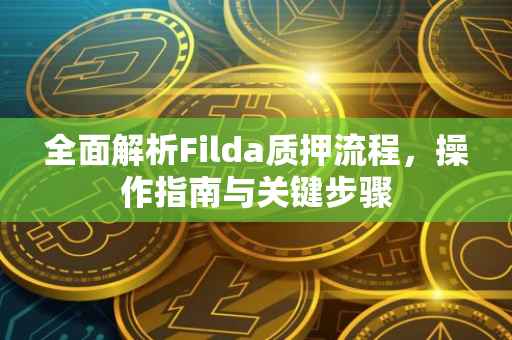 全面解析Filda质押流程，操作指南与关键步骤