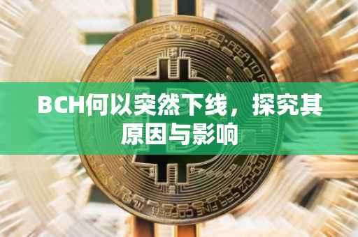 BCH何以突然下线，探究其原因与影响