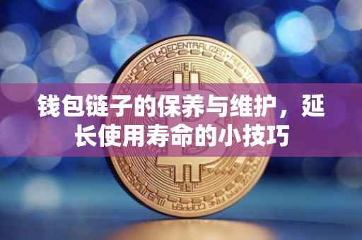 钱包链子的保养与维护，延长使用寿命的小技巧