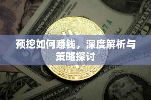 预挖如何赚钱，深度解析与策略探讨