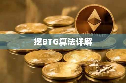 挖BTG算法详解