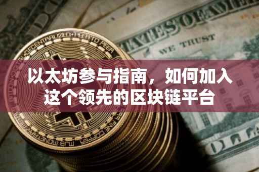 以太坊参与指南，如何加入这个领先的区块链平台