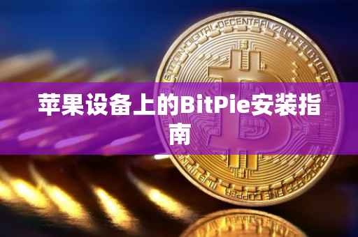苹果设备上的BitPie安装指南