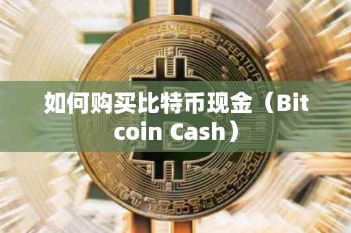 如何购买比特币现金（Bitcoin Cash）