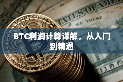 BTC利润计算详解，从入门到精通
