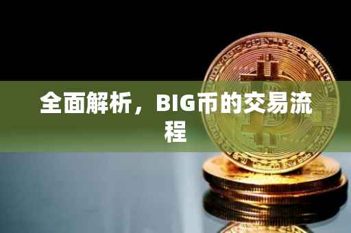 全面解析，BIG币的交易流程