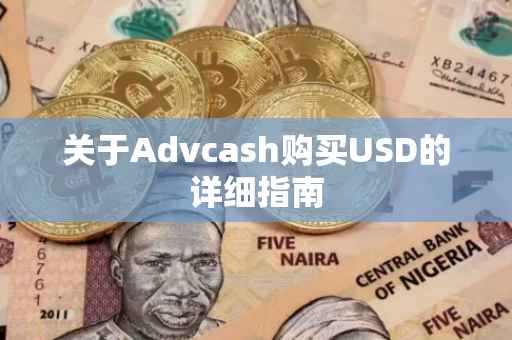 关于Advcash购买USD的详细指南