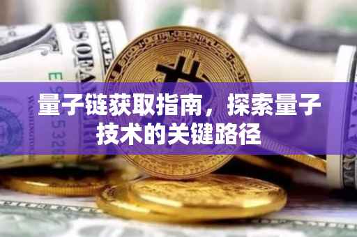 量子链获取指南，探索量子技术的关键路径