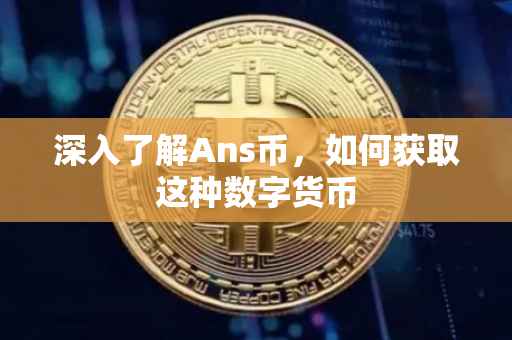 深入了解Ans币，如何获取这种数字货币