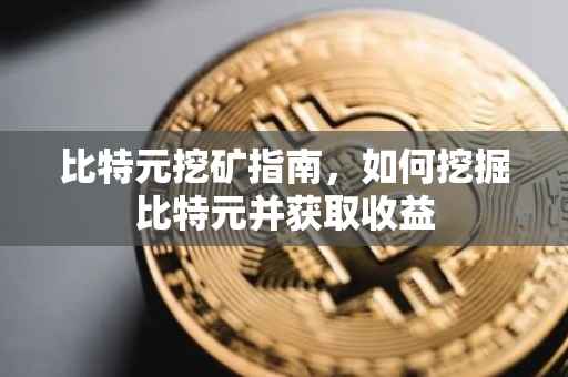 比特元挖矿指南，如何挖掘比特元并获取收益