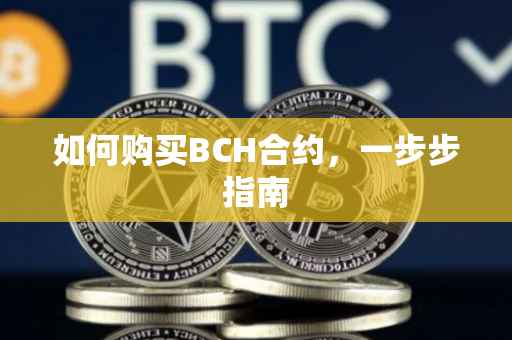如何购买BCH合约，一步步指南