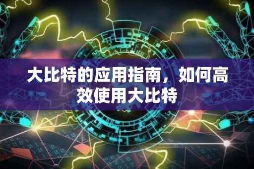 大比特的应用指南，如何高效使用大比特