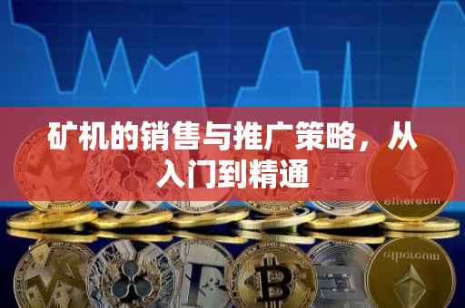 矿机的销售与推广策略，从入门到精通