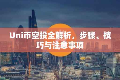 Uni币空投全解析，步骤、技巧与注意事项