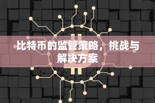 比特币的监管策略，挑战与解决方案