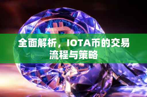 全面解析，IOTA币的交易流程与策略