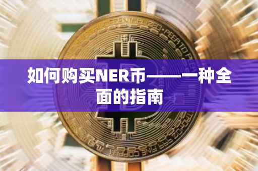 如何购买NER币——一种全面的指南
