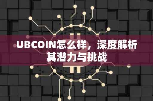 UBCOIN怎么样，深度解析其潜力与挑战
