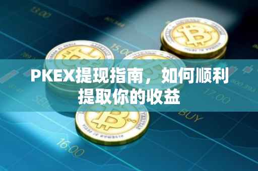 PKEX提现指南，如何顺利提取你的收益