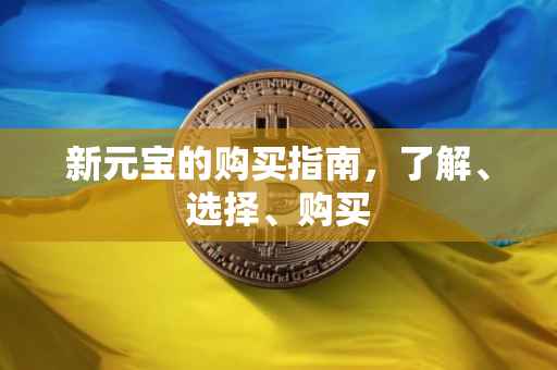 新元宝的购买指南，了解、选择、购买