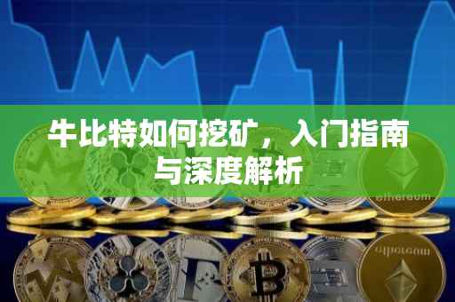 牛比特如何挖矿，入门指南与深度解析
