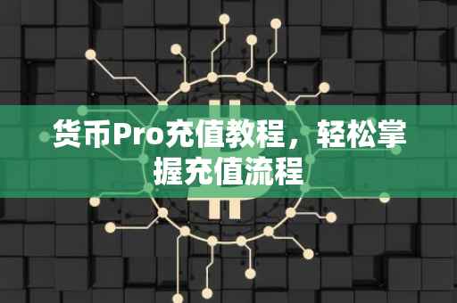 货币Pro充值教程，轻松掌握充值流程